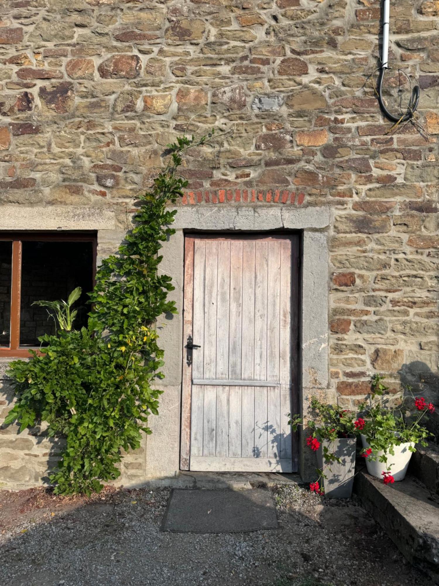 Buteo Chambres D'Hotes & Espresso Lesterny Buitenkant foto